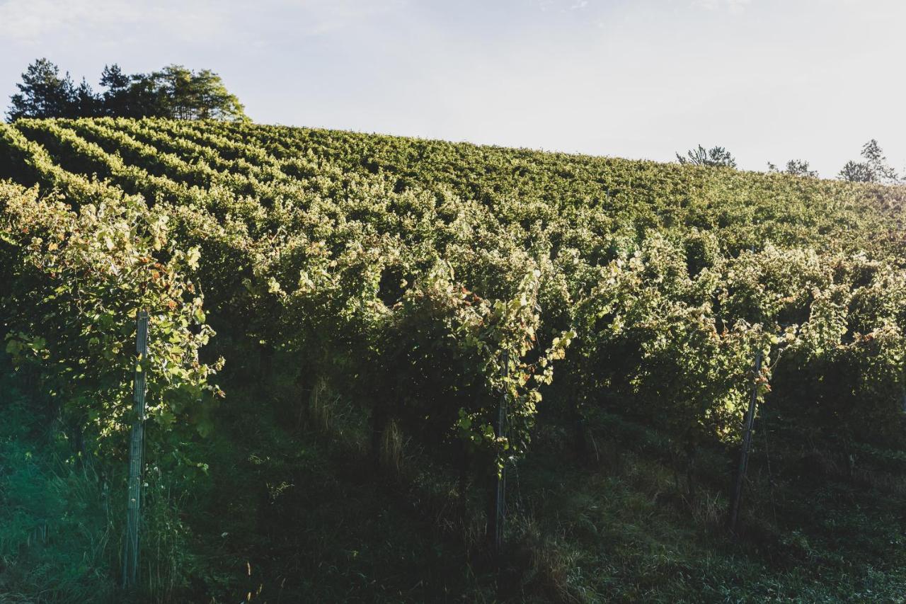 Weingut Peter Grill Bed and Breakfast Leutschach Εξωτερικό φωτογραφία