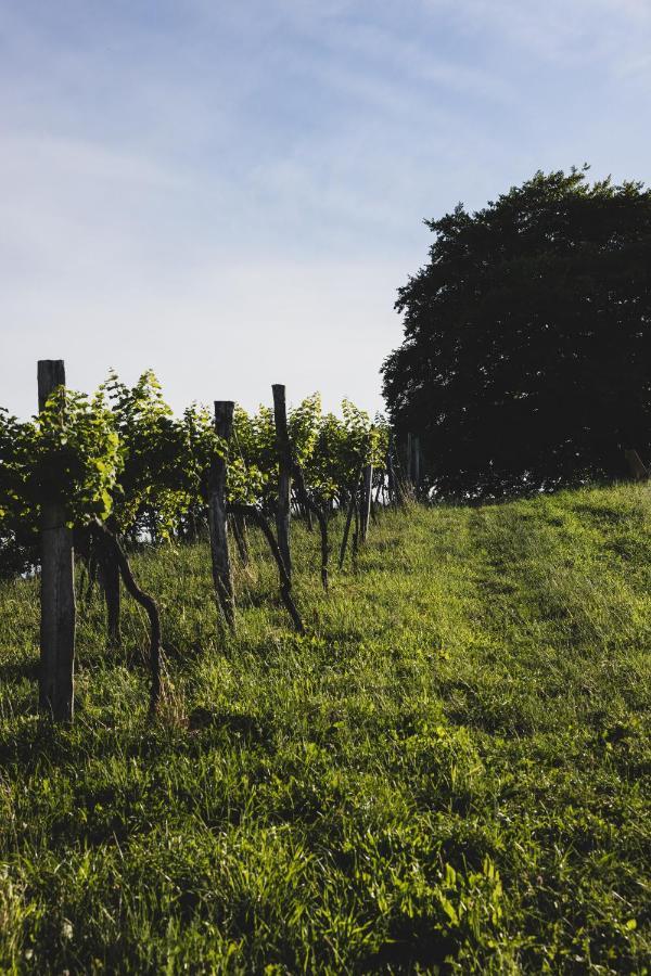 Weingut Peter Grill Bed and Breakfast Leutschach Εξωτερικό φωτογραφία